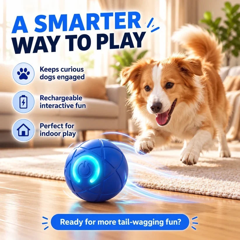 🔥Last day 50% OFF-Self-Moving Interactive Dog Ball – USB Rechargeable Pet Toy