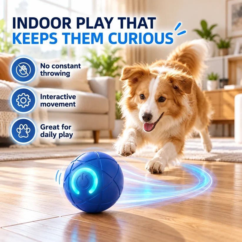 🔥Last day 50% OFF-Self-Moving Interactive Dog Ball – USB Rechargeable Pet Toy