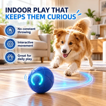 🔥Last day 50% OFF-Self-Moving Interactive Dog Ball – USB Rechargeable Pet Toy