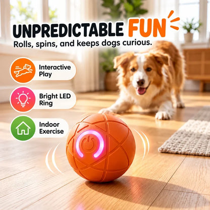 🔥Last day 50% OFF-Self-Moving Interactive Dog Ball – USB Rechargeable Pet Toy