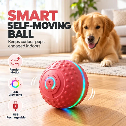 🔥Last day 50% OFF-Self-Moving Interactive Dog Ball – USB Rechargeable Pet Toy