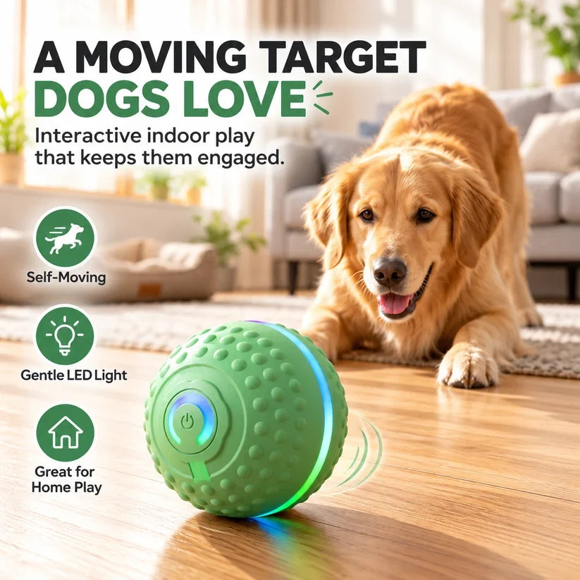 🔥Last day 50% OFF-Self-Moving Interactive Dog Ball – USB Rechargeable Pet Toy