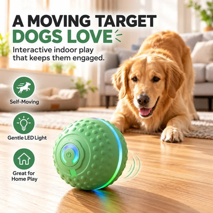 🔥Last day 50% OFF-Self-Moving Interactive Dog Ball – USB Rechargeable Pet Toy
