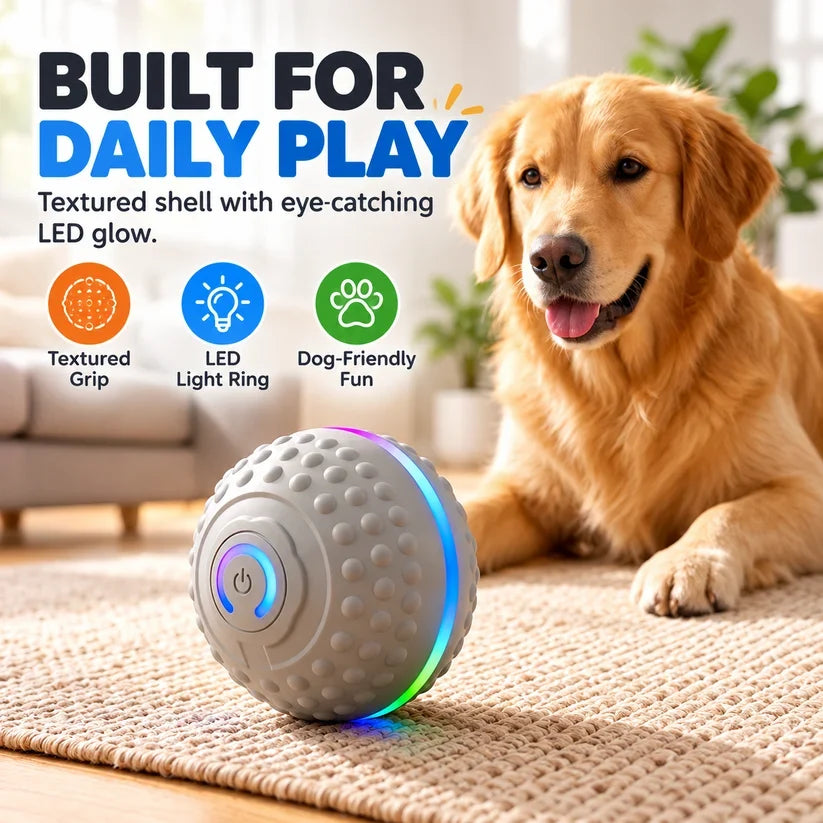 🔥Last day 50% OFF-Self-Moving Interactive Dog Ball – USB Rechargeable Pet Toy