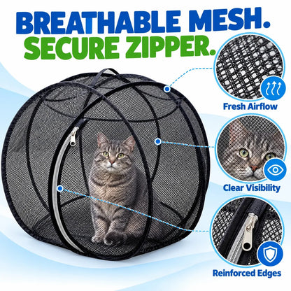 🐱 Rolling Pop-Up Cat Play Ball– 360° Panoramic Playpen 🐾