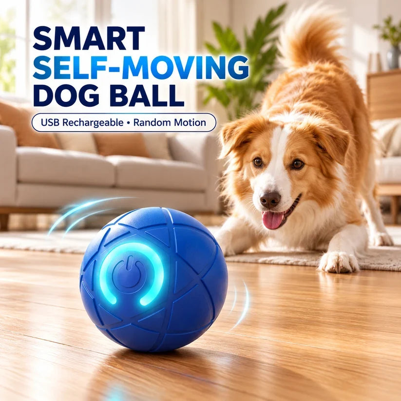 🔥Last day 50% OFF-Self-Moving Interactive Dog Ball – USB Rechargeable Pet Toy
