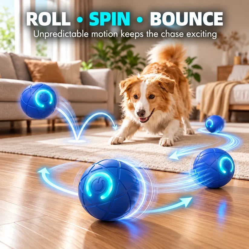 🔥Last day 50% OFF-Self-Moving Interactive Dog Ball – USB Rechargeable Pet Toy