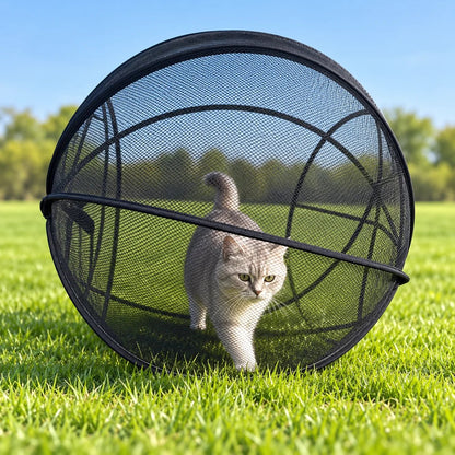 🐱 Rolling Pop-Up Cat Play Ball– 360° Panoramic Playpen 🐾