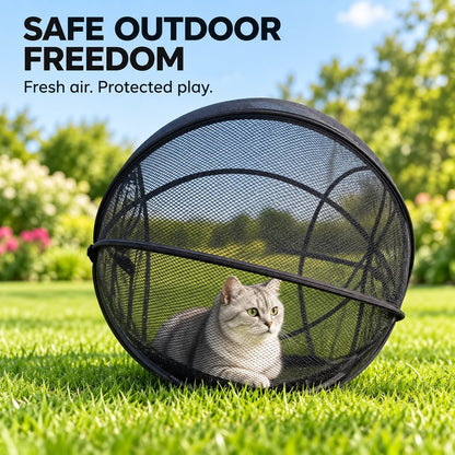 🐱 Rolling Pop-Up Cat Play Ball– 360° Panoramic Playpen 🐾