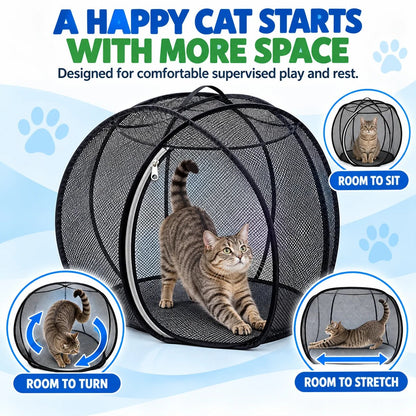 🐱 Rolling Pop-Up Cat Play Ball– 360° Panoramic Playpen 🐾