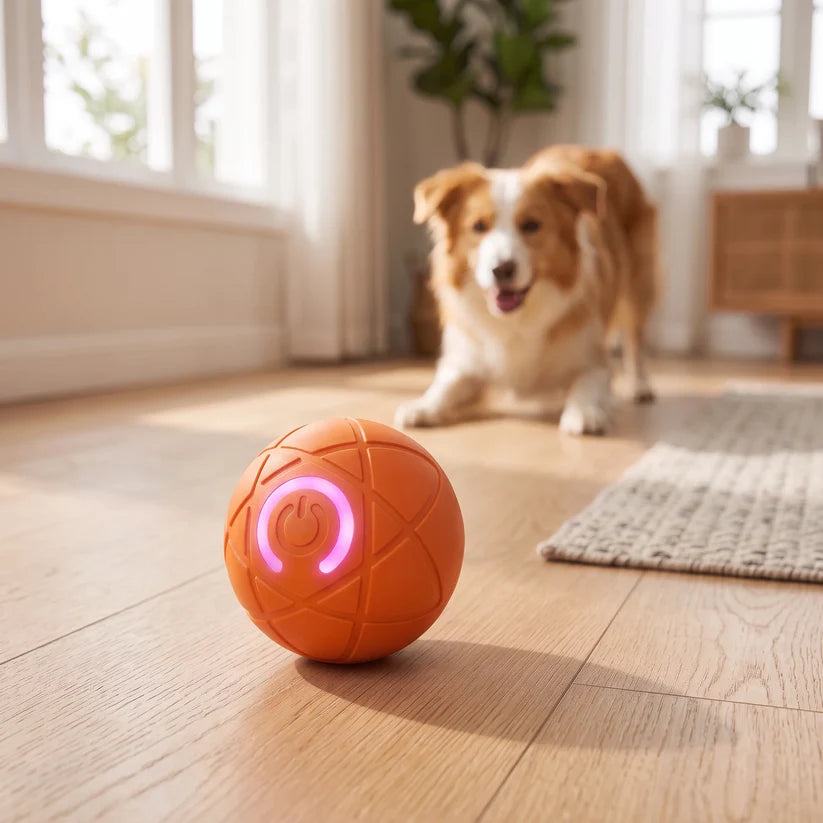 Self-Moving Interactive Dog Ball – USB Rechargeable Pet Toy