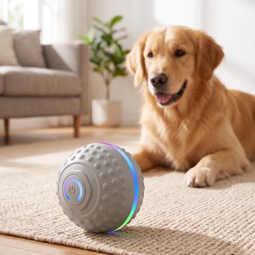 Self-Moving Interactive Dog Ball – USB Rechargeable Pet Toy