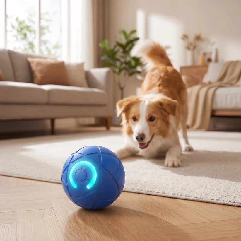 Self-Moving Interactive Dog Ball – USB Rechargeable Pet Toy